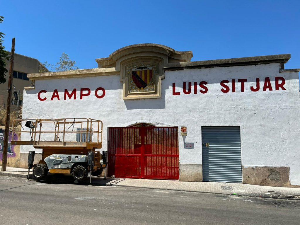 Les imatges de la Diada Mallorquinista!